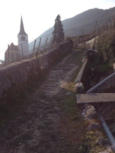 Pilgrims' path through the vineyards above Twann